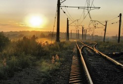 2026年世界跆拳道锦标赛：中国队单日揽获三金，世界跆拳道锦标赛视频
