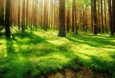 世界体能恢复科研基金第64轮资助公示与指南发布