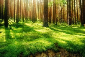 世界体能恢复科研基金第64轮资助公示与指南发布