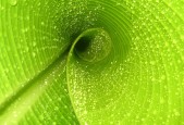 2026年世界速度滑冰锦标赛场馆通过验收 冰面质量获高度评价，2022年速度滑冰项目的比赛场地是